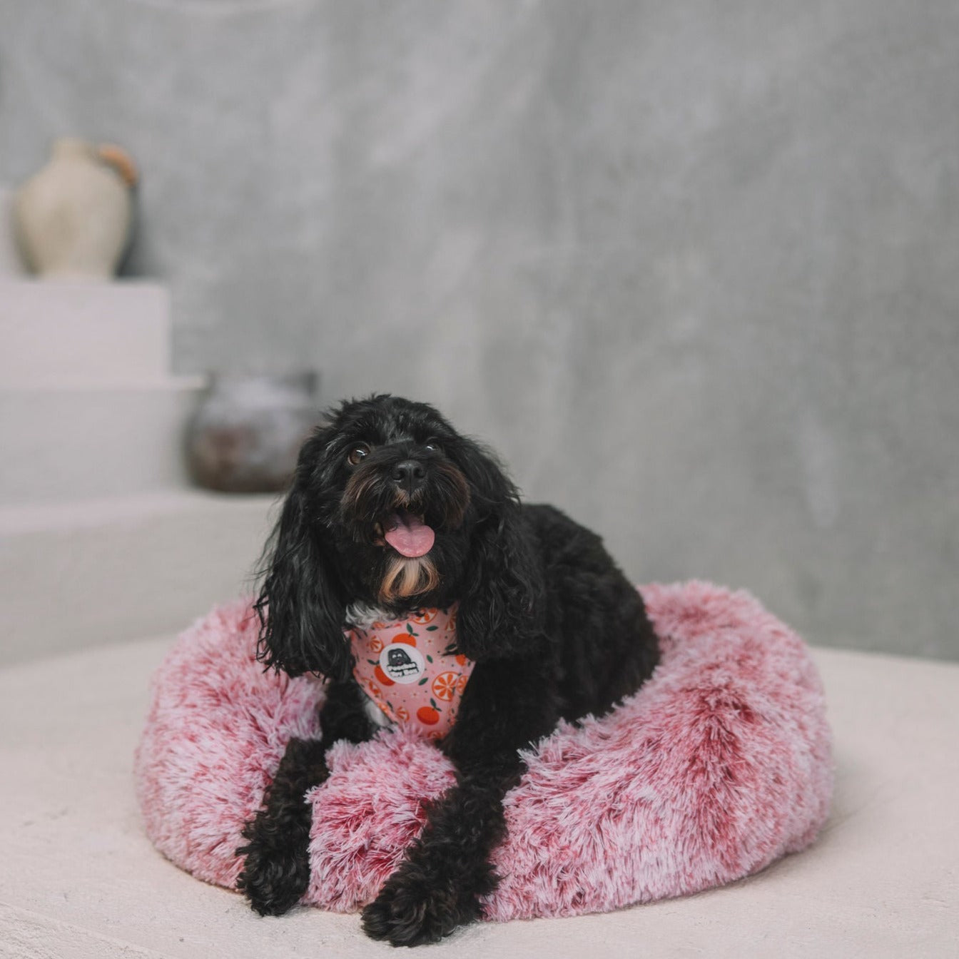 Pink Circle Plush Bed