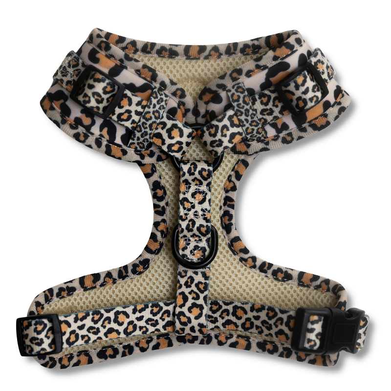 Leopard - Walkies Set