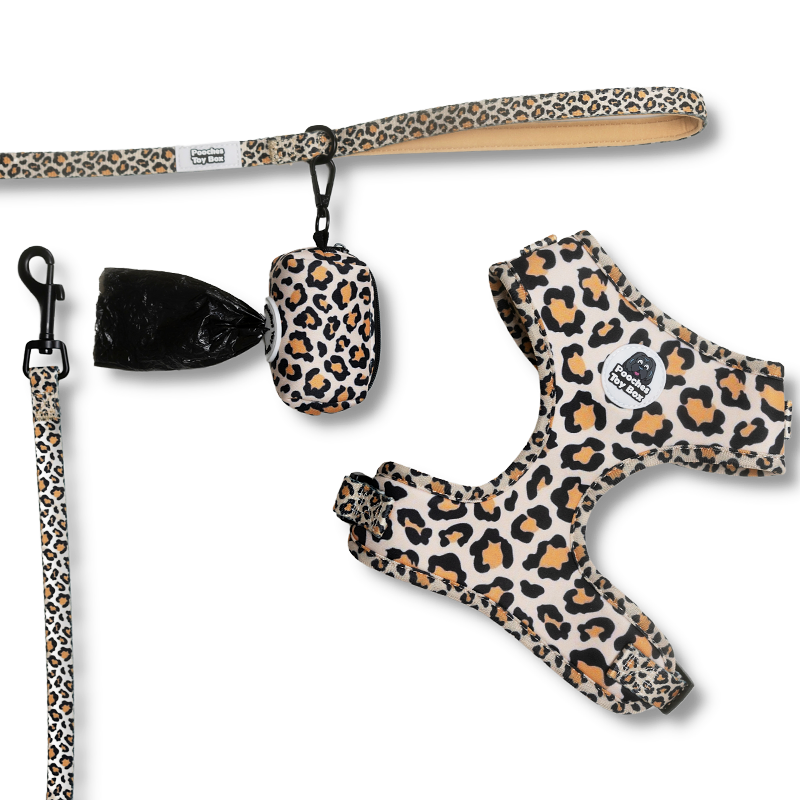 Leopard - Walkies Set